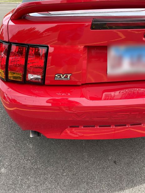 Rear panel and SVT badging