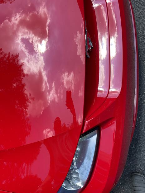 Hood and paint detail
