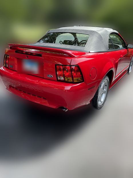 Rear three-quarter, top raised